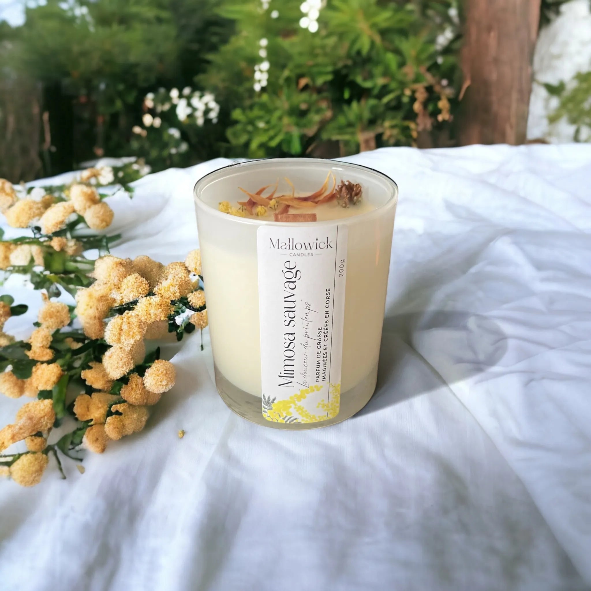 Bougie parfumée Mimosa sauvage