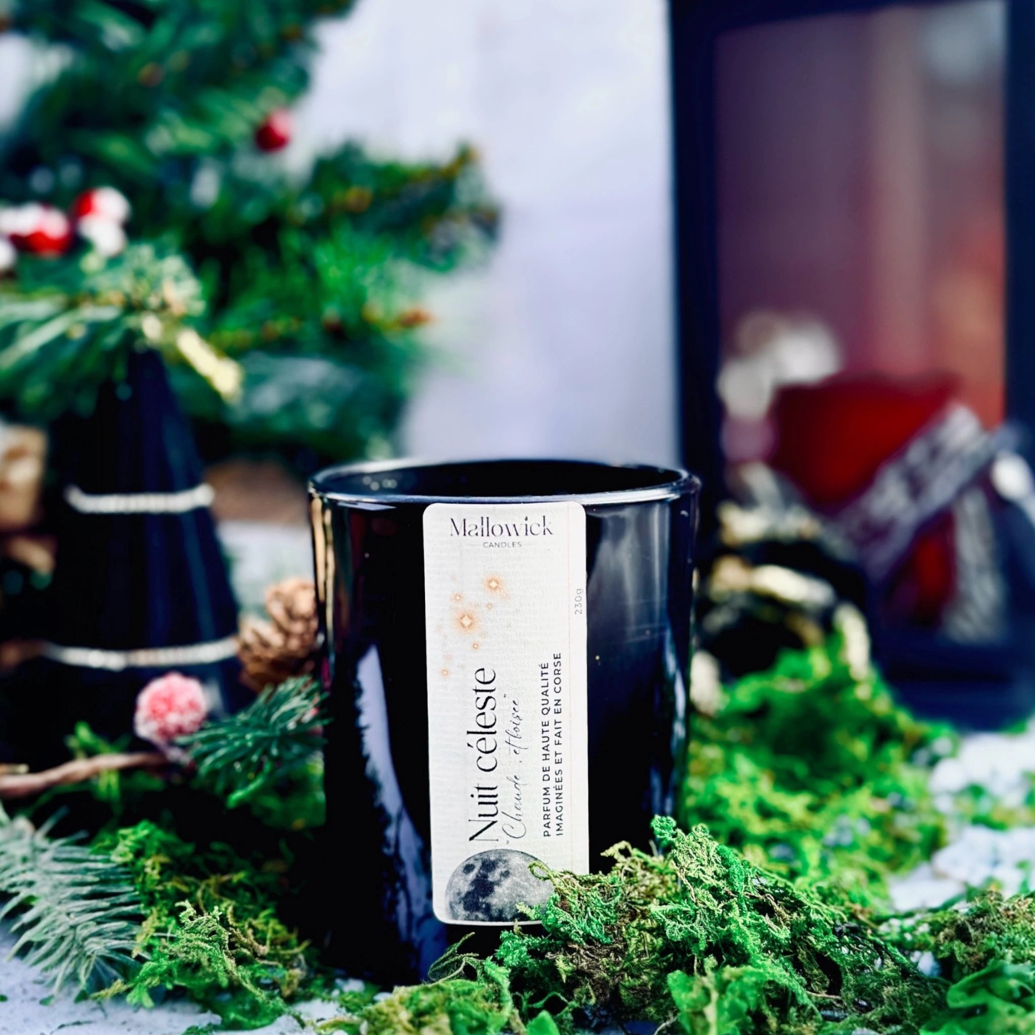 Bougie parfumée Nuit céleste